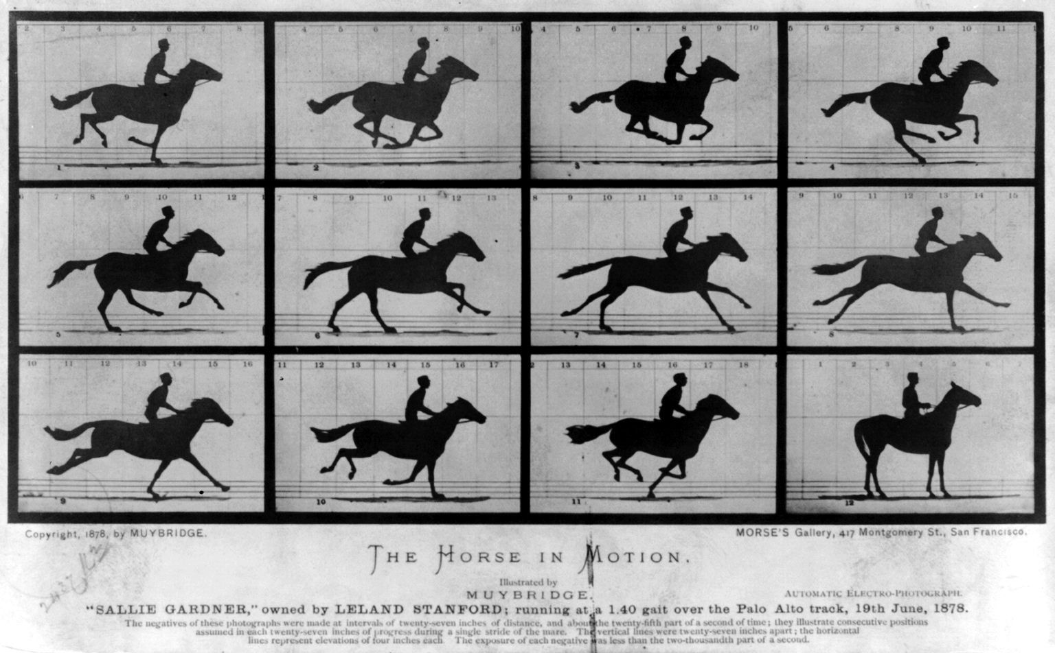 Eadweard Muybridge, The Horse in Motion, 1878: sequenza fotografica di un cavallo al galoppo
